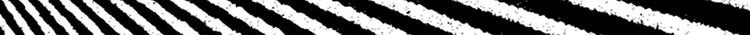 fallback text for an image